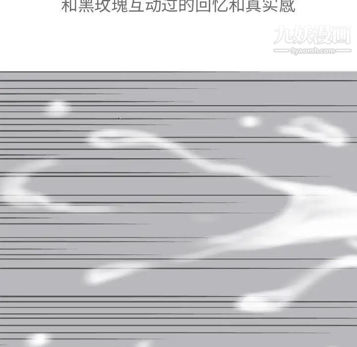 91.jpg