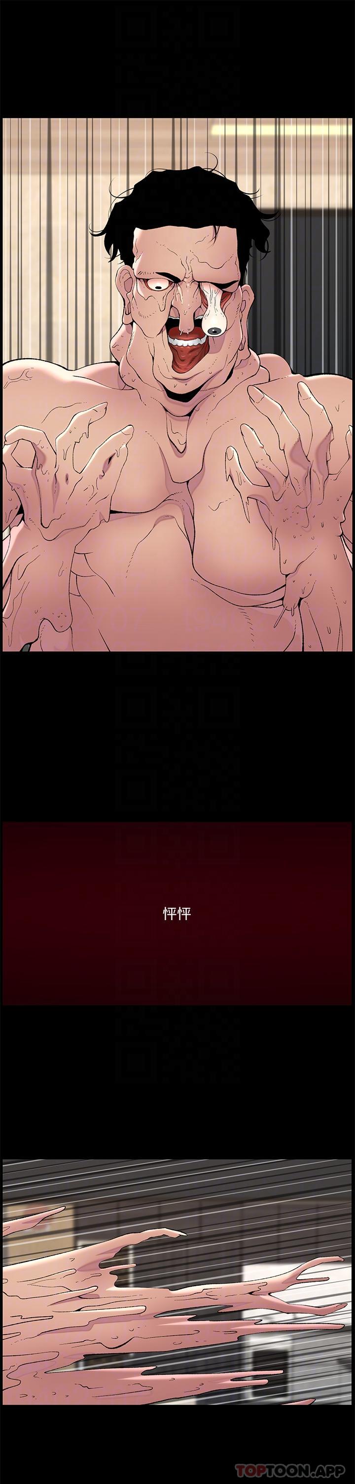 帝王App第77话-突然冒出的新炮王