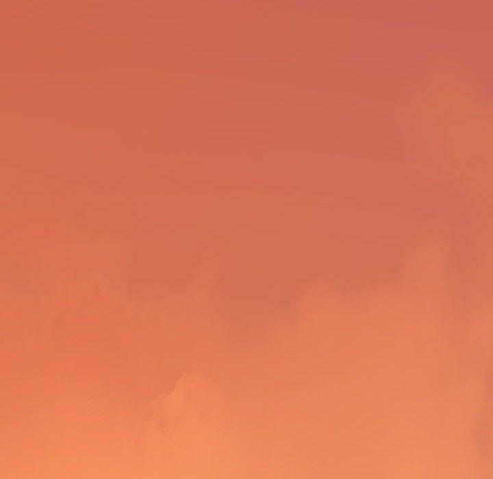 97.jpg