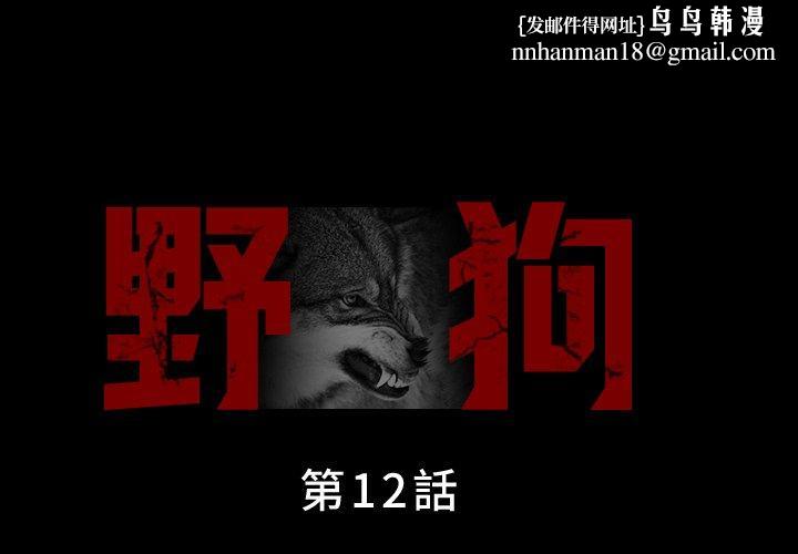 野狗第12话