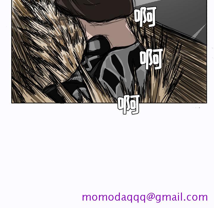 96.jpg