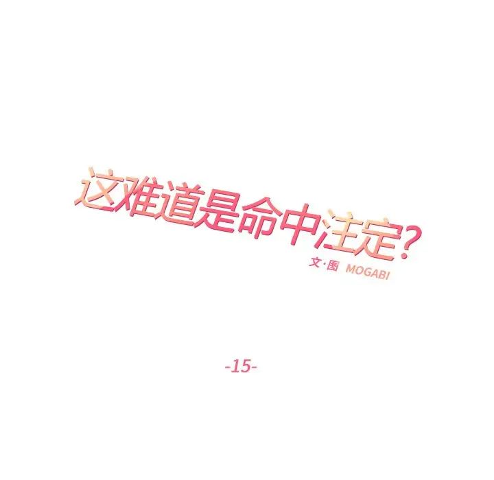 这难道是命中注定第15話