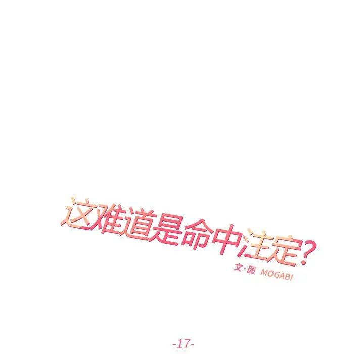 这难道是命中注定第17話