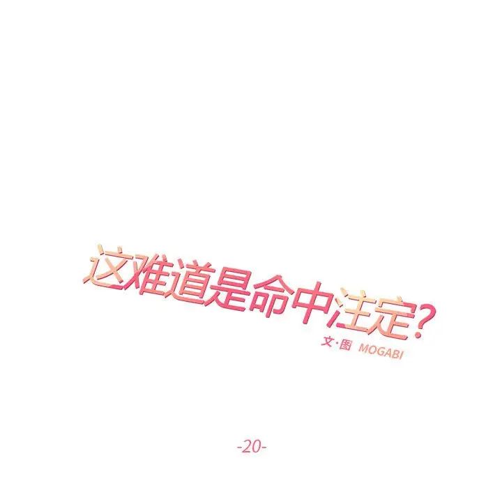 这难道是命中注定第20話