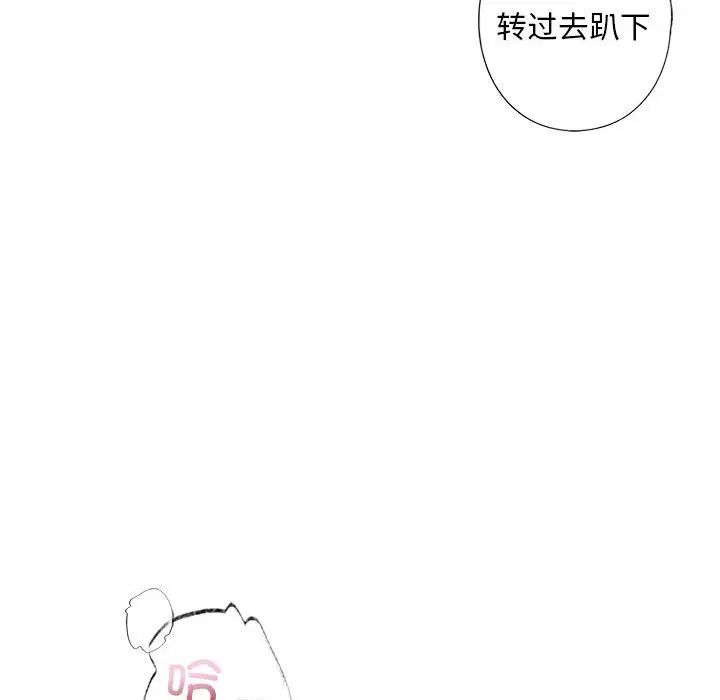 95.jpg