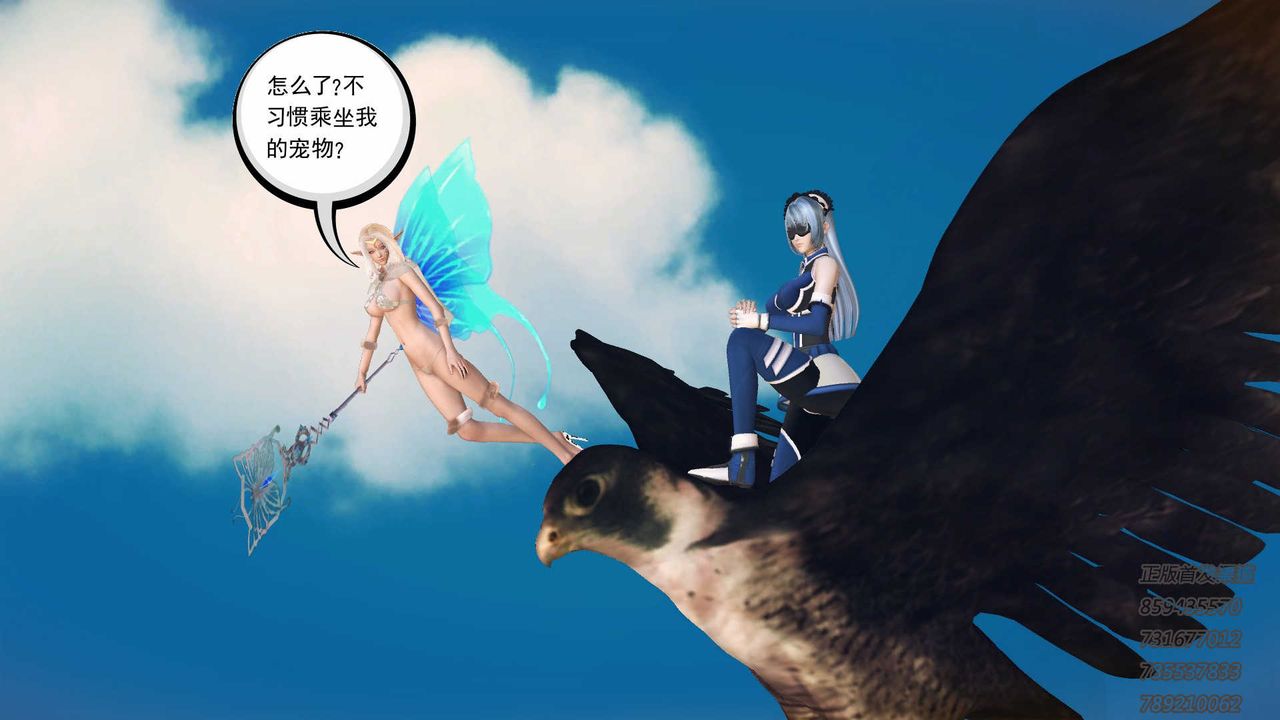 79.jpg
