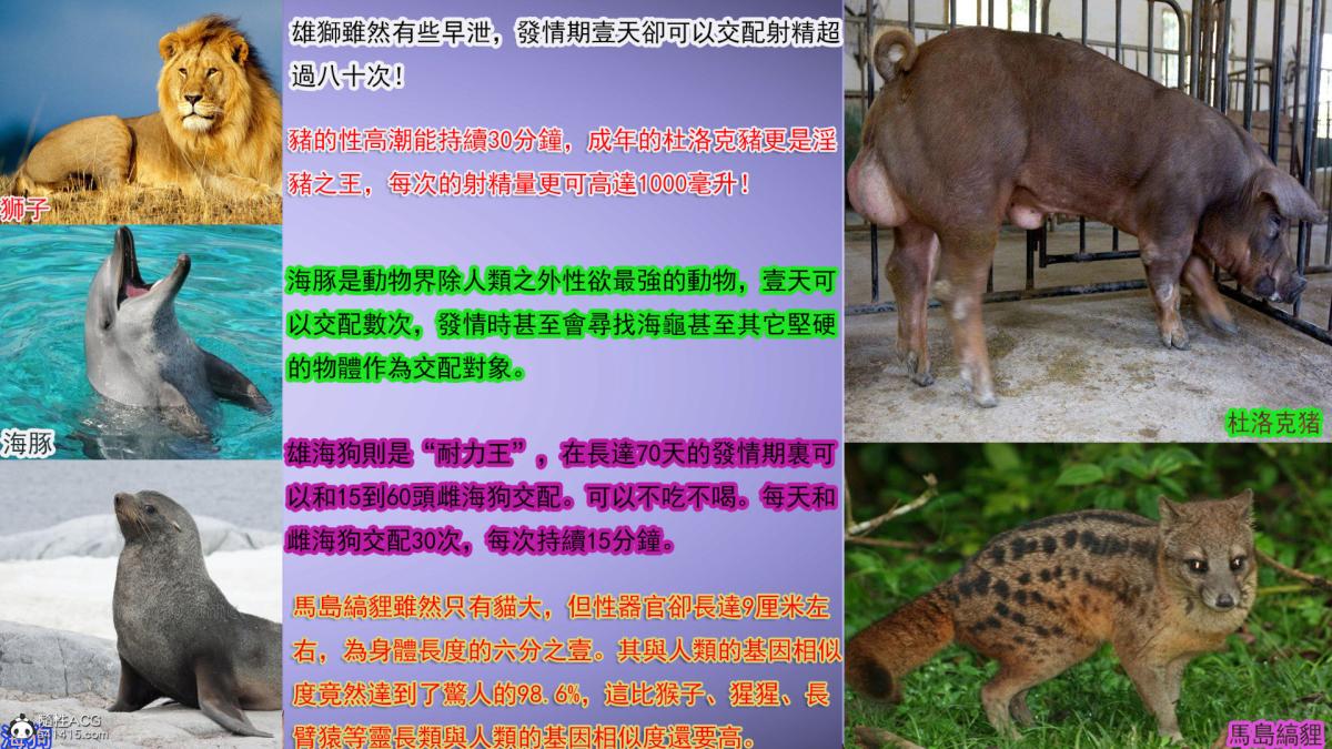 [3D]冰峰魔恋第29话