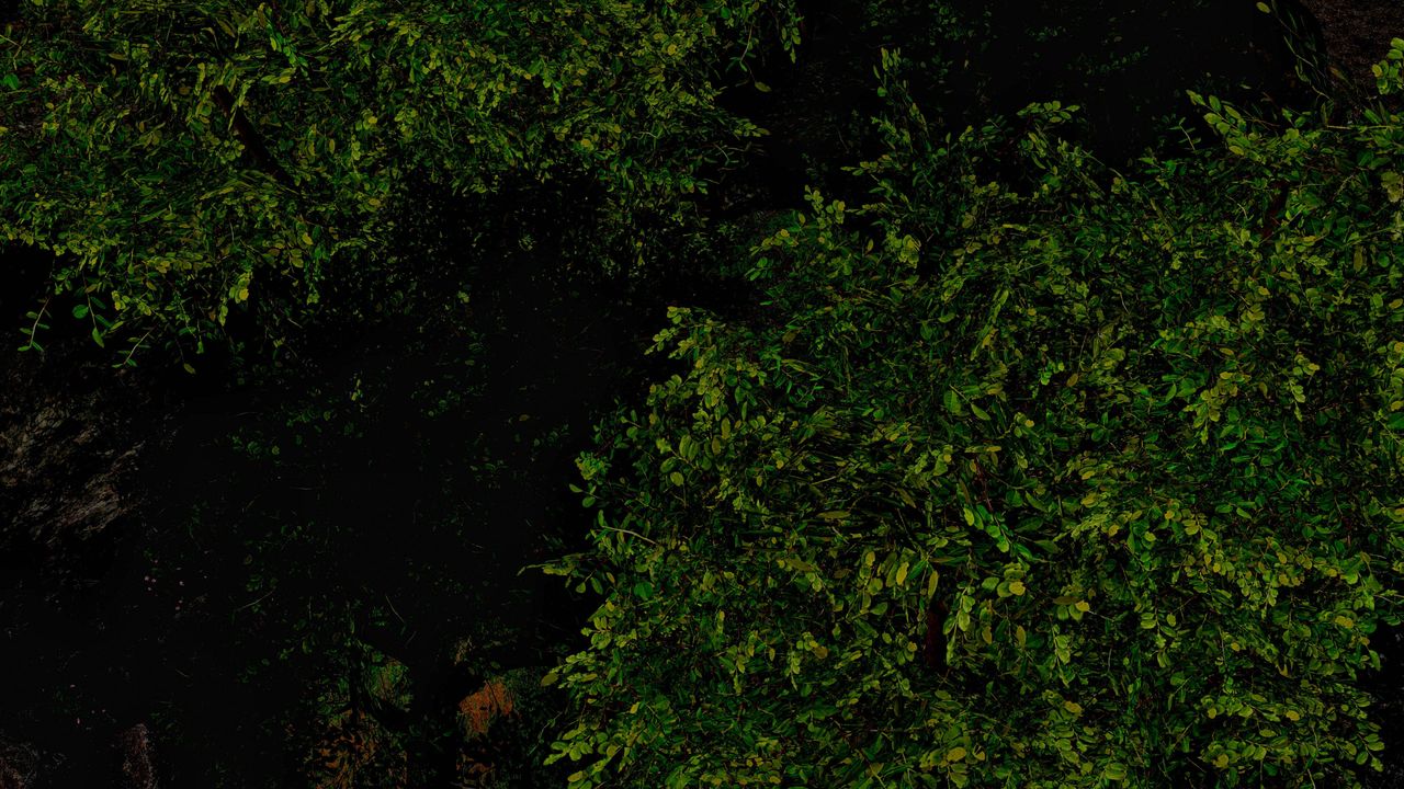 [3D]死靈法師 - 第09話79.jpg,[3D]死靈法師 - 第09話79,[3D]死靈法師 - 第09話