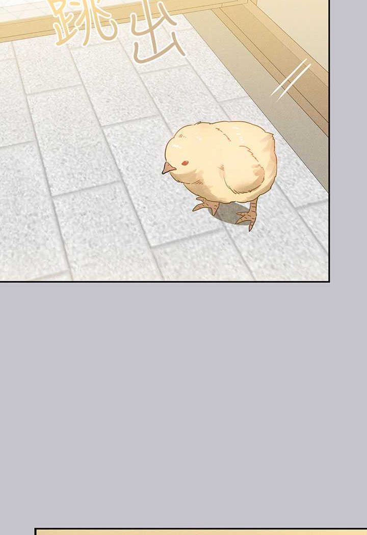 富家女姐姐最終話-幸福美滿的家庭