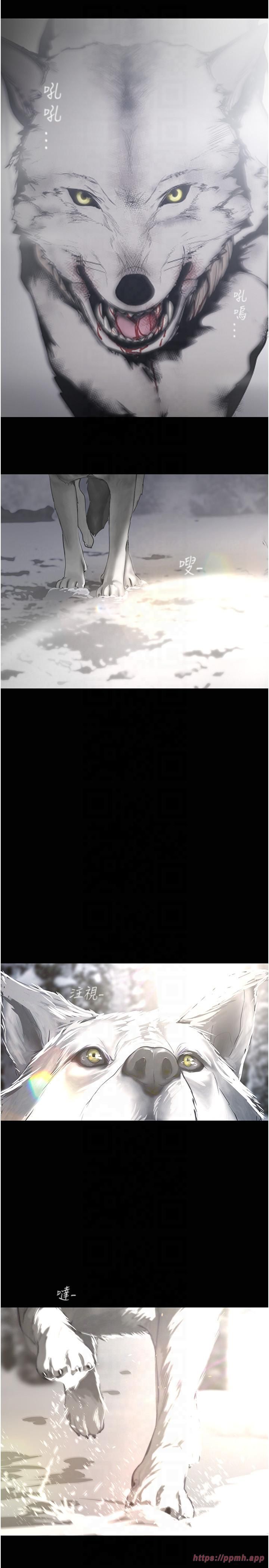 262ԒKԒ-