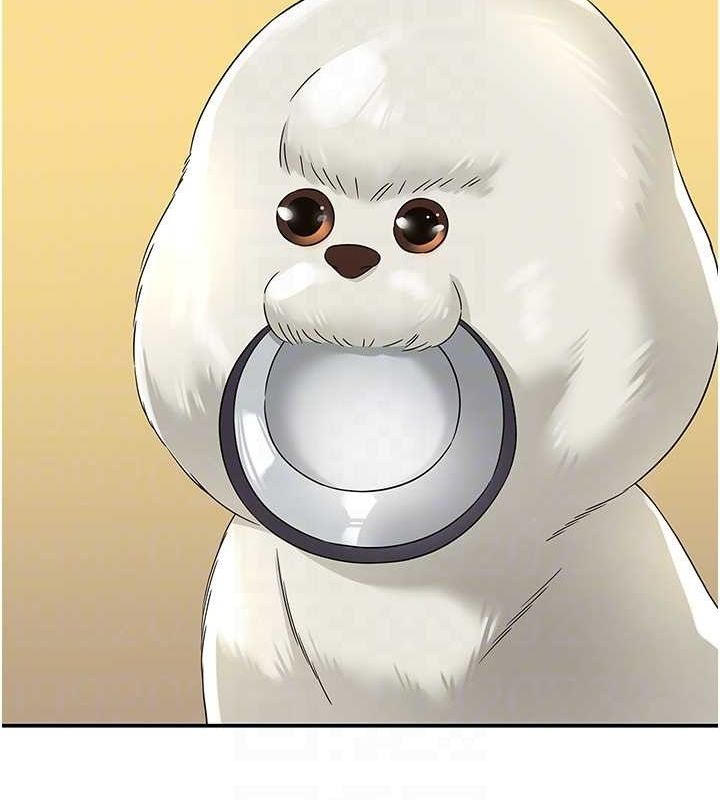 洞洞杂货店第110話-各懷「淫」胎的喬遷宴