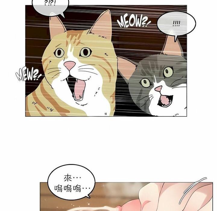 一个变态的日常生活第88话