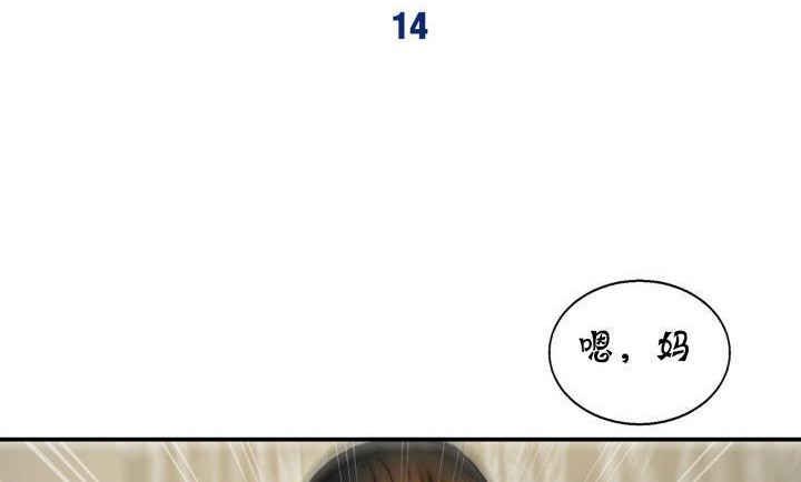 夫人的礼物第14话