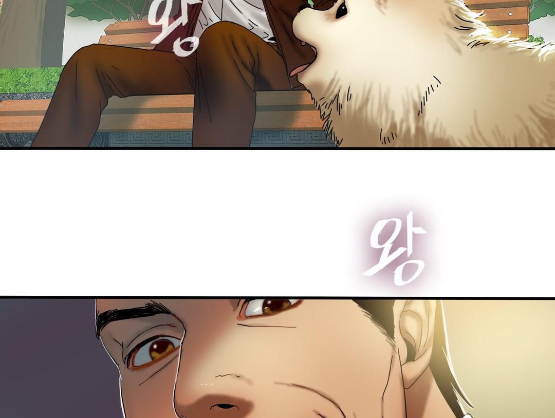 夫人的礼物第15话