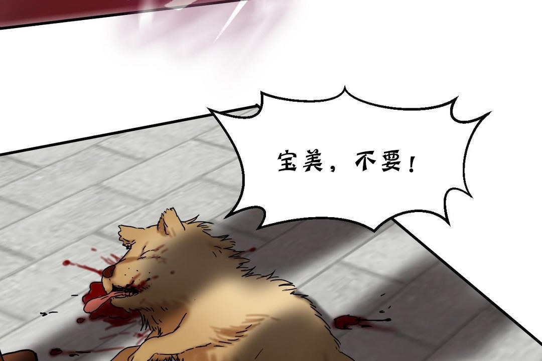 夫人的礼物第15话