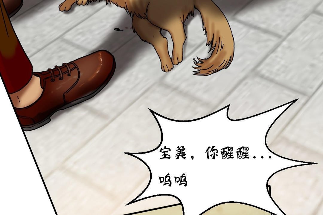 夫人的礼物第15话