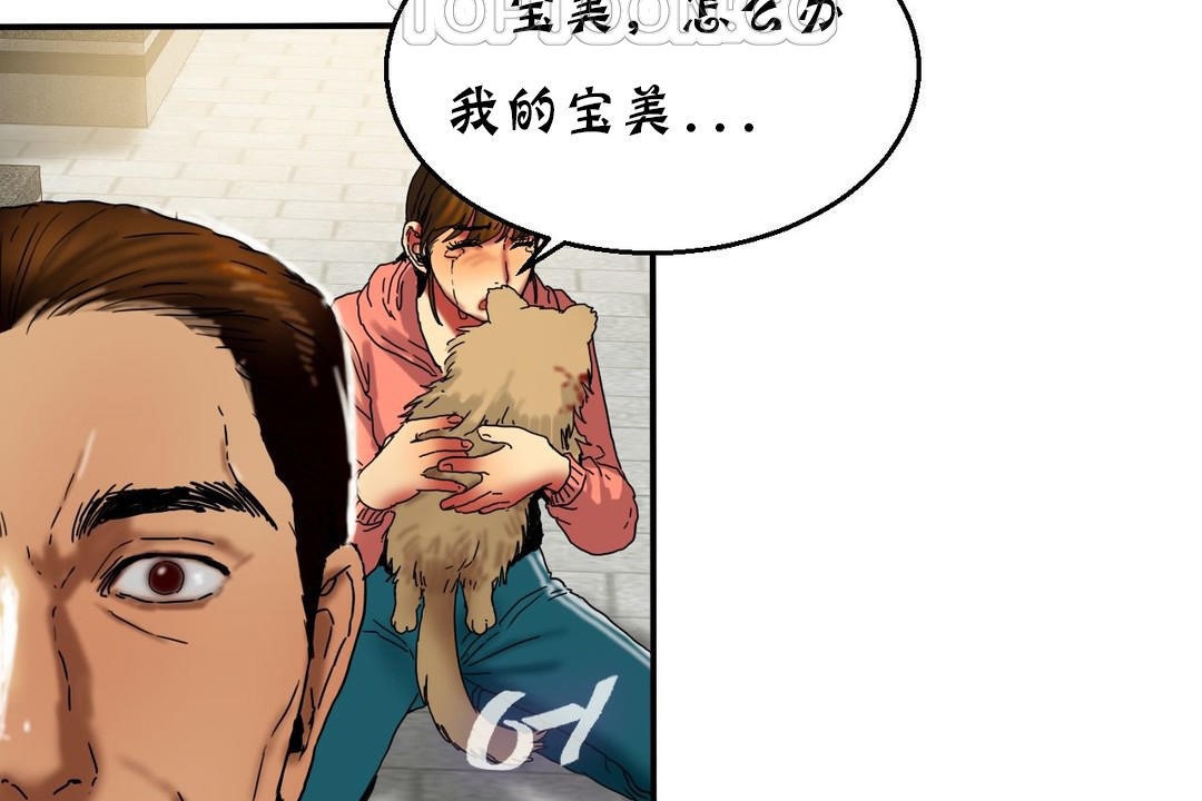 夫人的礼物第15话