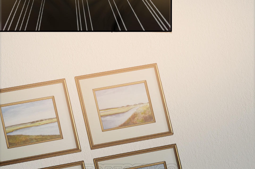 夫人的礼物第16话