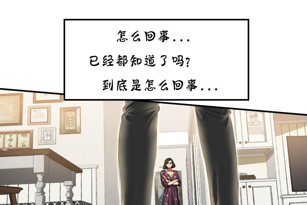 夫人的礼物第19话