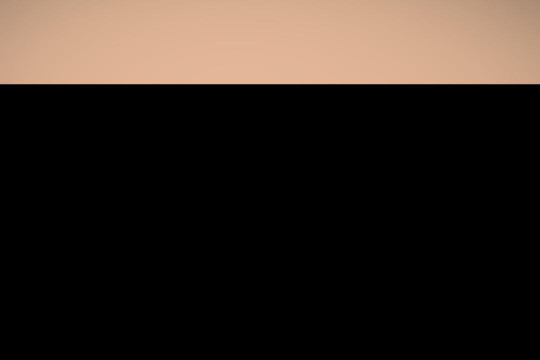 夫人的礼物第19话