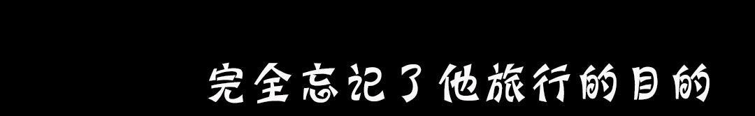 夫人的礼物第19话