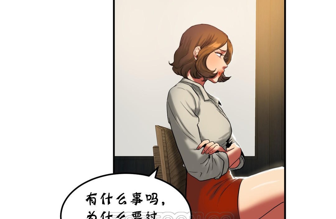 夫人的礼物第22话