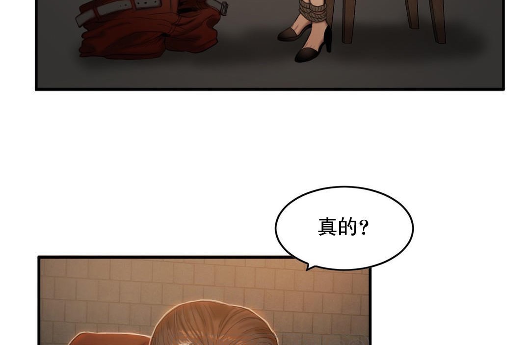 夫人的礼物第48话