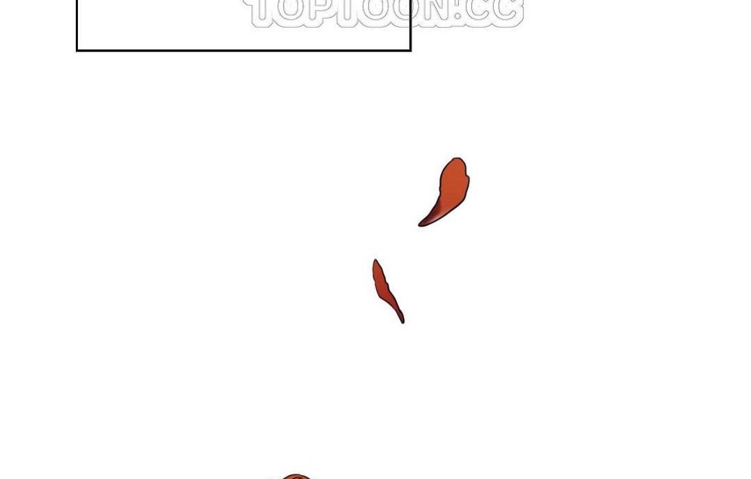 夫人的礼物第48话