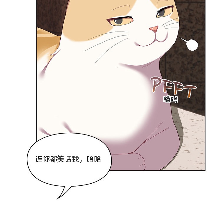猫猫牵红线第1话
