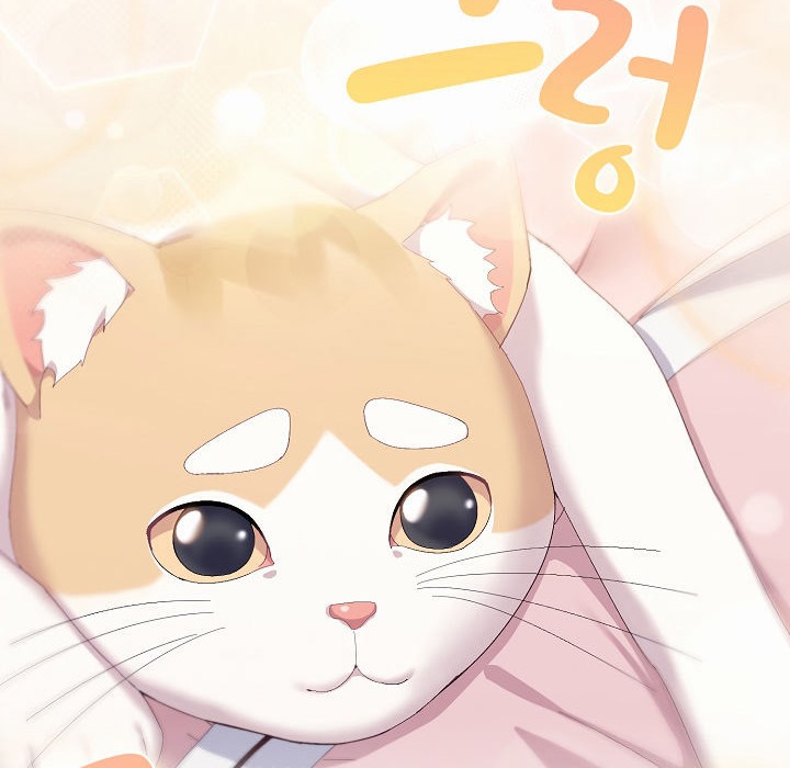 猫猫牵红线第2话