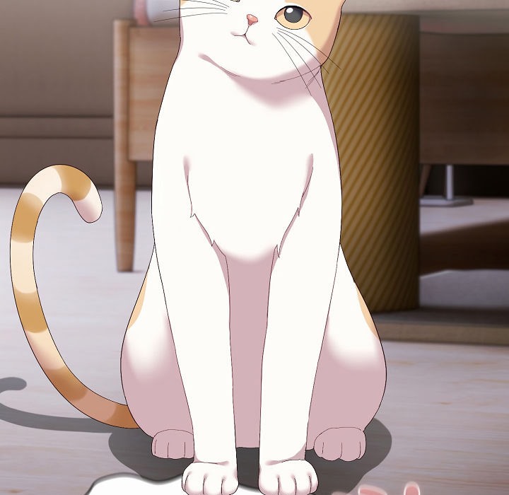 猫猫牵红线第2话