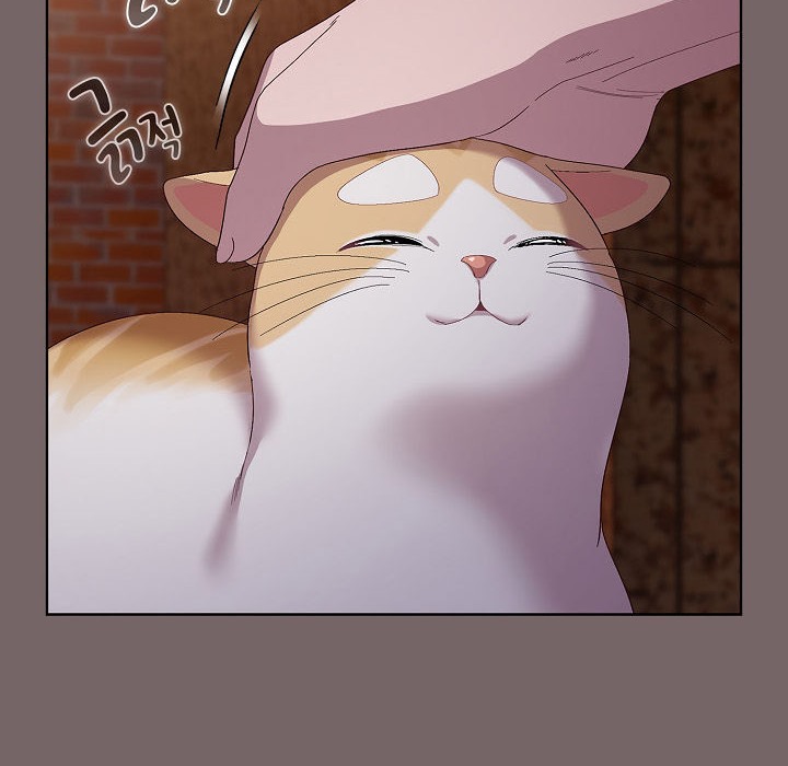 猫猫牵红线第3话