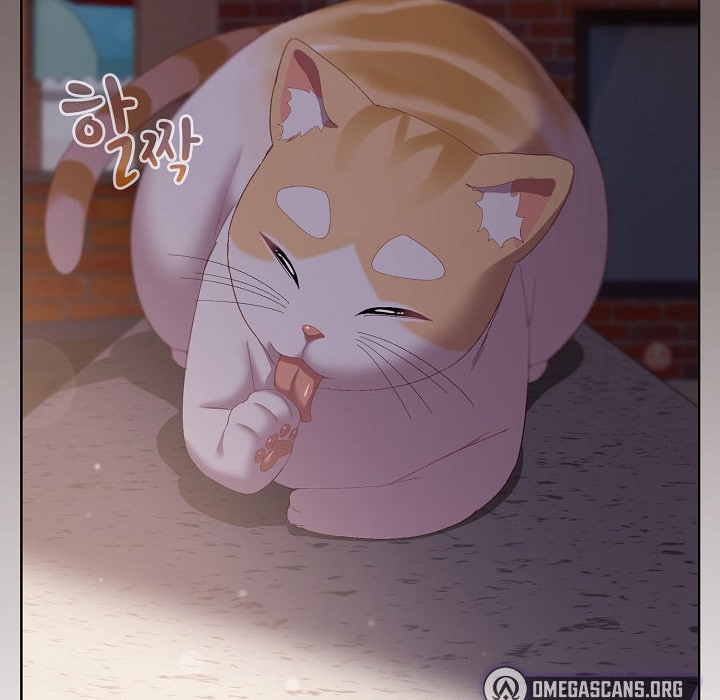 猫猫牵红线第3话