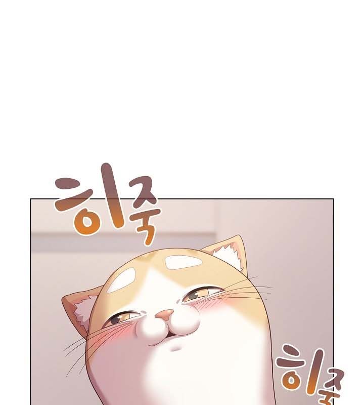 猫猫牵红线第10话