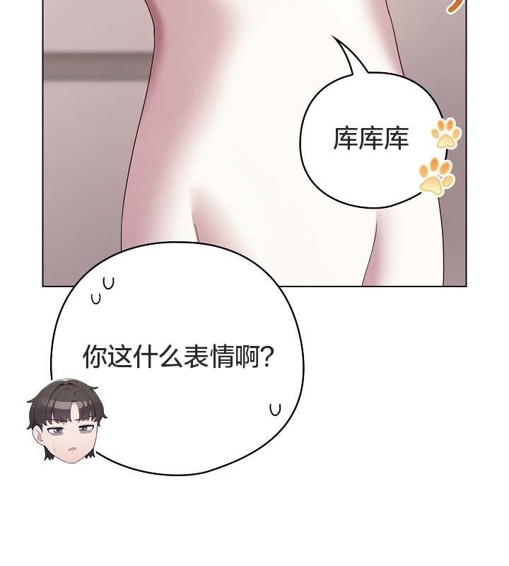 猫猫牵红线第10话