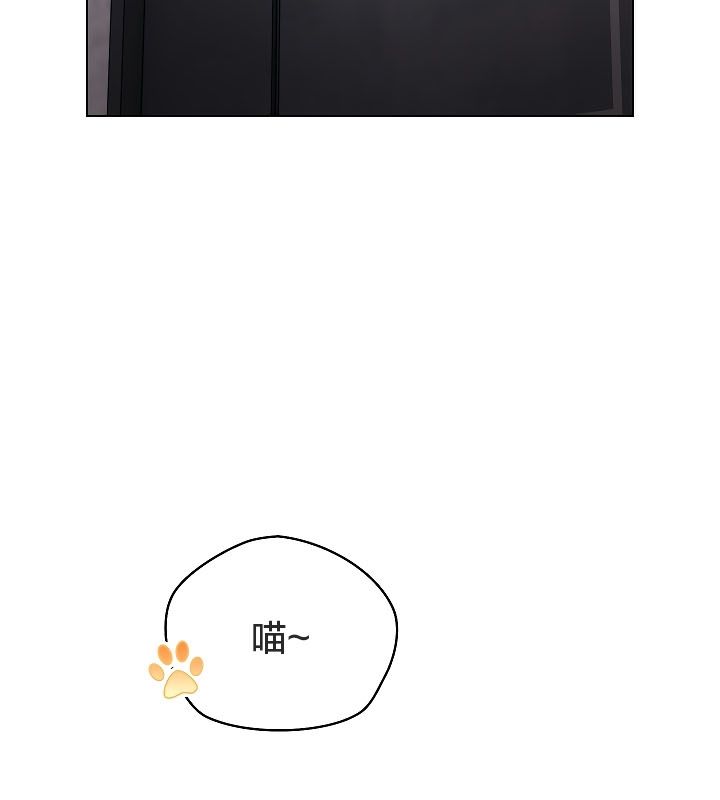 猫猫牵红线第11话