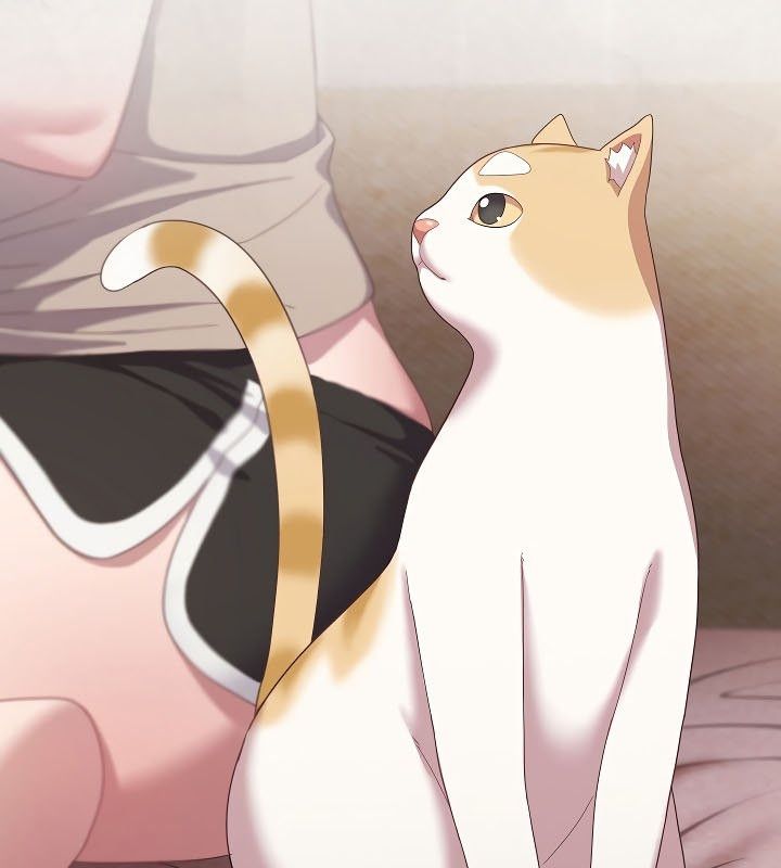 猫猫牵红线第11话