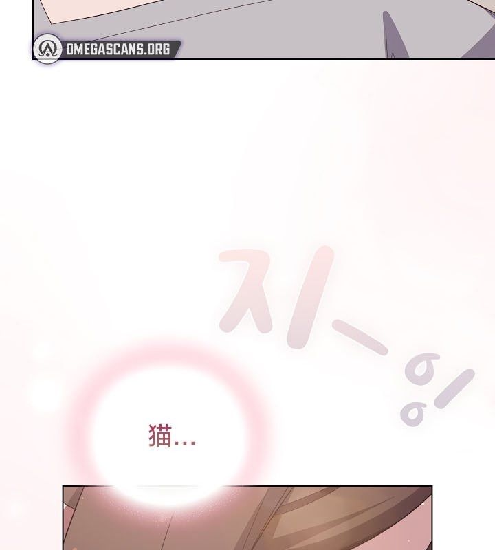 猫猫牵红线第13话