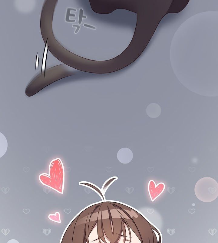 猫猫牵红线第13话