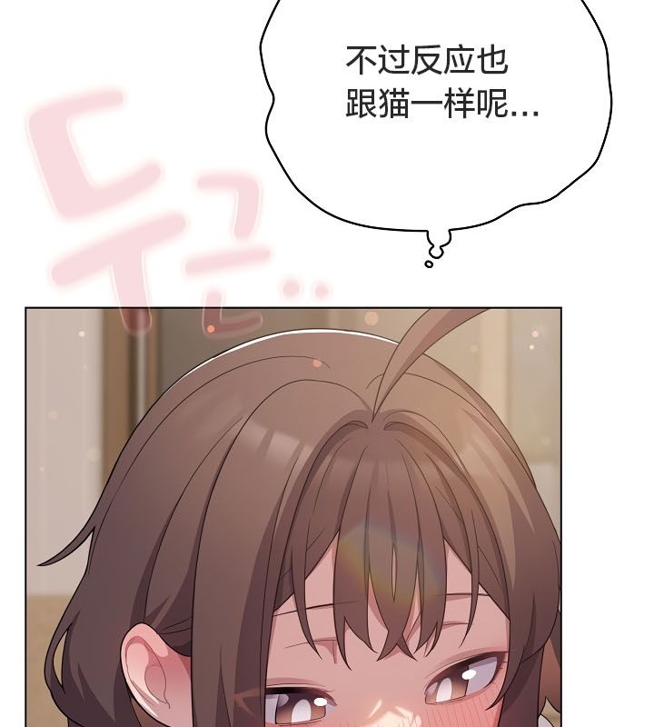 猫猫牵红线第13话