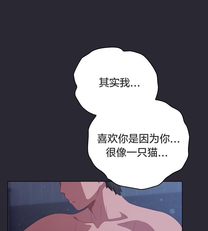 猫猫牵红线第17话