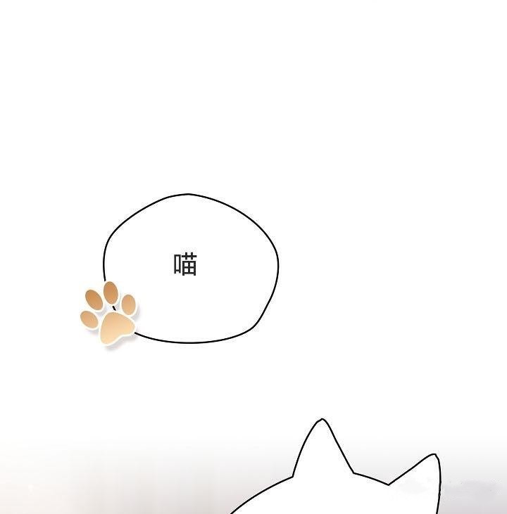 猫猫牵红线第18话
