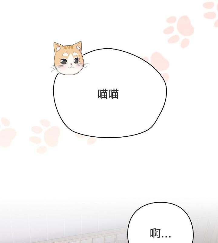 猫猫牵红线第18话