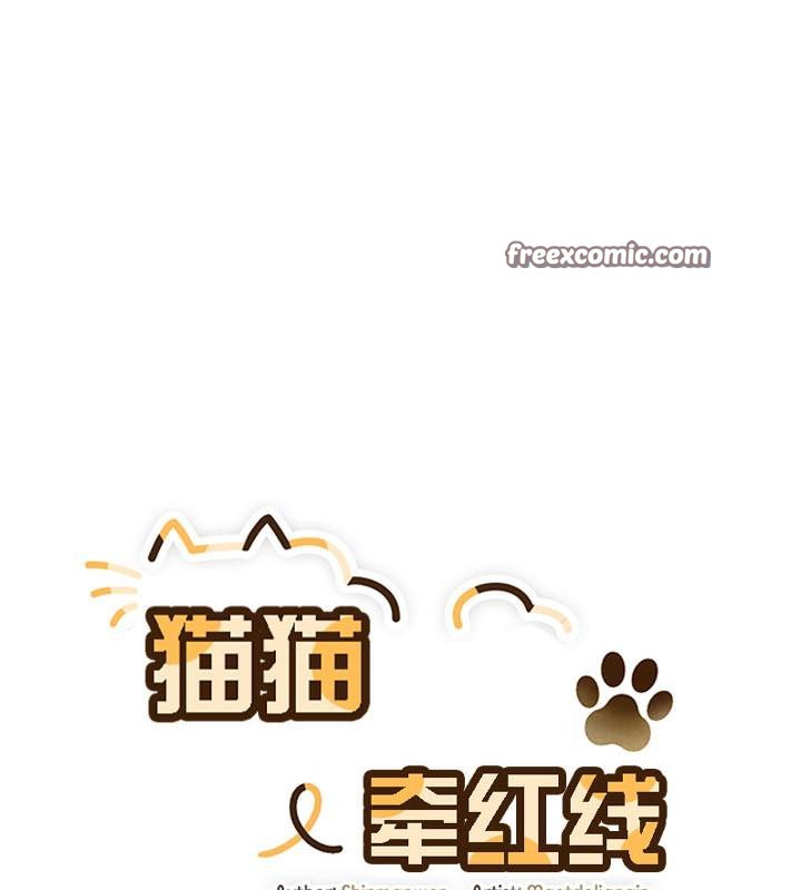 猫猫牵红线第18话