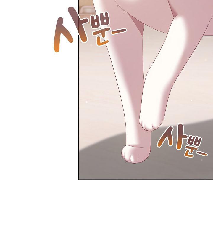 猫猫牵红线第18话