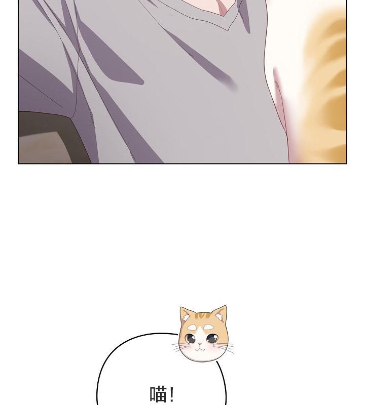 猫猫牵红线第18话