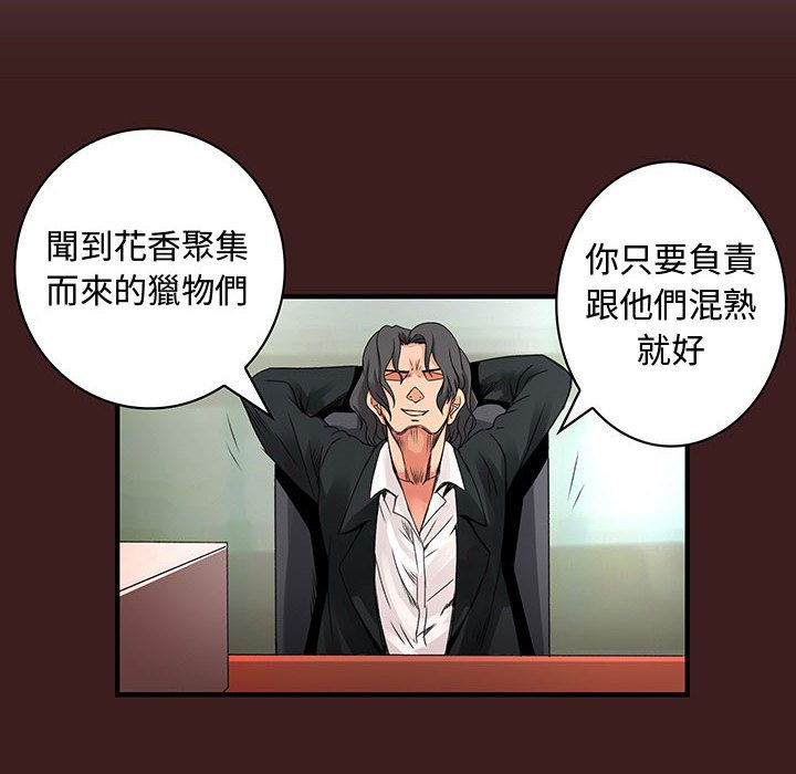 菜鸟蓝荠理第28话