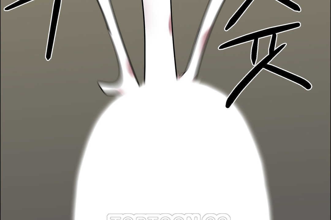 出租女孩第13话