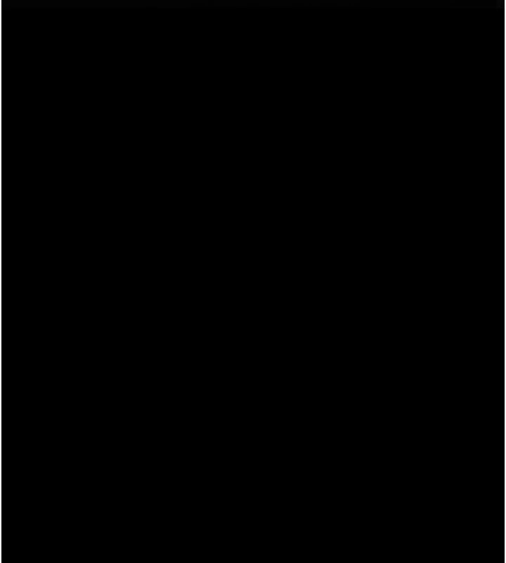 选手村:母猪调教第3话-把妳的小穴干到鬆掉!