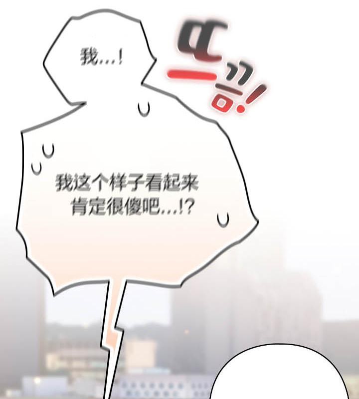 猫猫牵红线第19話